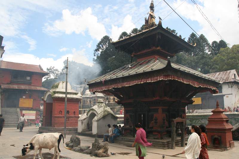 India & Nepal 2011 - 0249